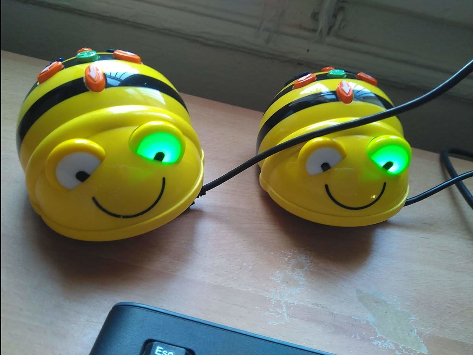 Ja han arribat els Bee-Bot a Educaci Infantil