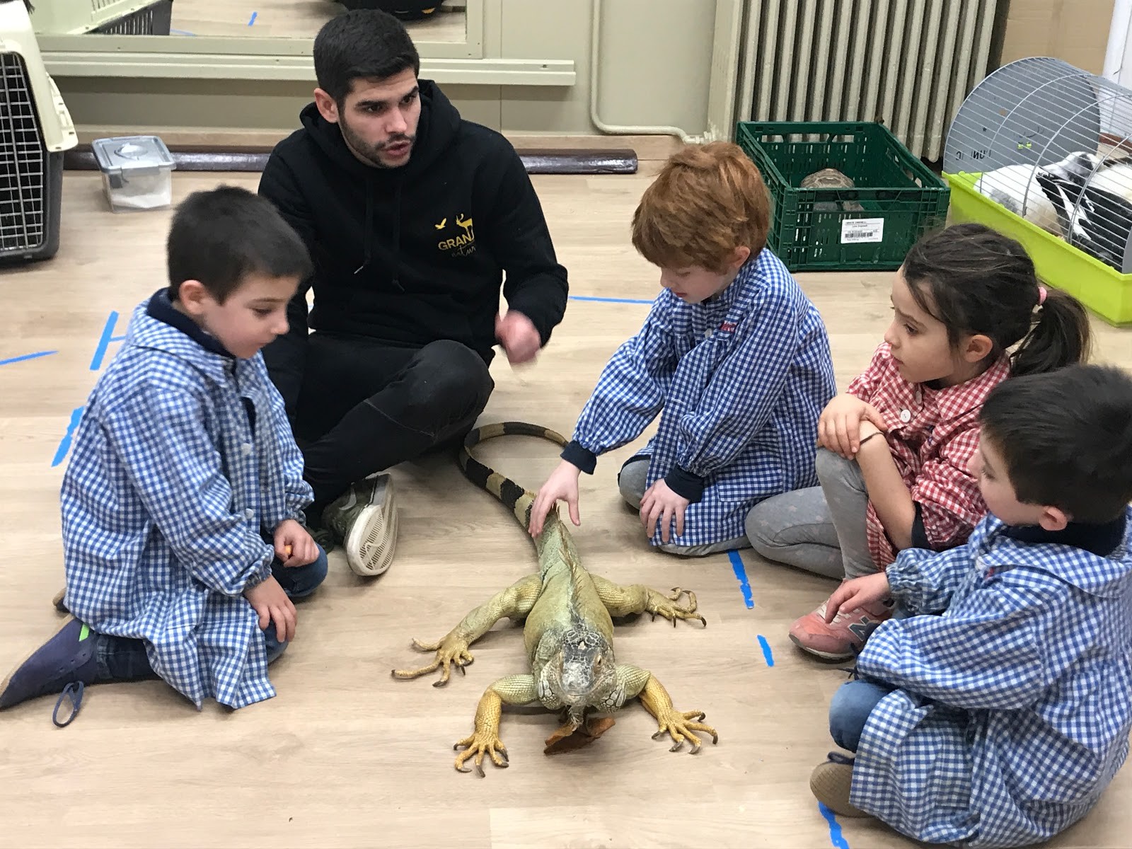 Toca-Toca Viatger a educaci infantil